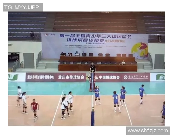 重庆排球队荣登全国排球比赛经验排行榜首位的背后故事与成就分析